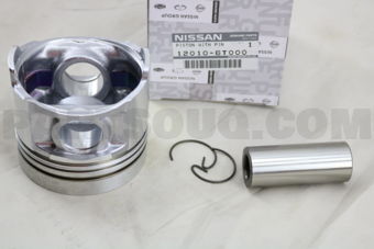 120106T000 PISTON,W/PIN