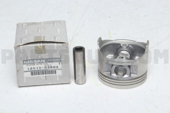 1201083W8A PISTON WITH PIN