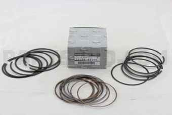 120358J100 RING SET PISTON