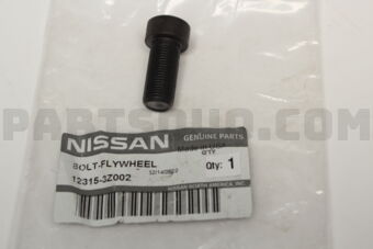 123153Z002 BOLT-FLYWHEEL