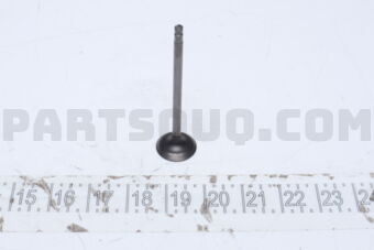 132011AT0A VALVE-INTAKE
