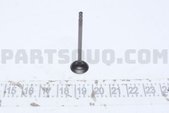 132011AT0A VALVE-INTAKE