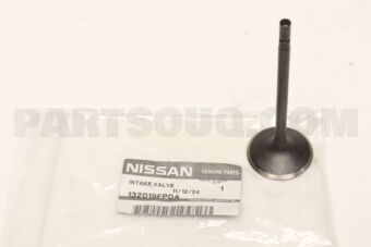 132019FP0A VALVE-INTAKE