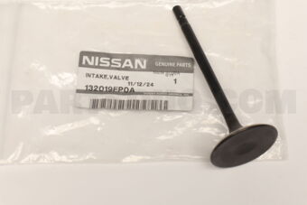 132019FP0A VALVE-INTAKE
