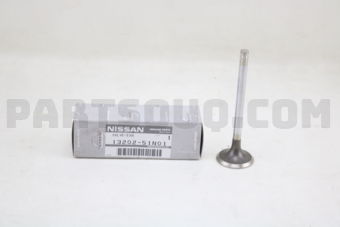 1320251N01 VALVE-EXHAUST