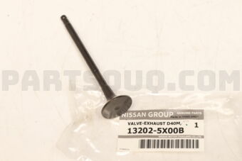 132025X00B VALVE-EXHAUST