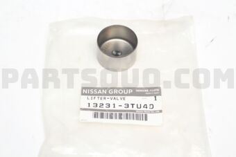 132313TU4D LIFTER VALVE
