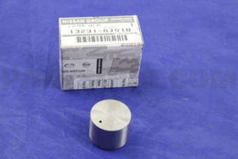 132318J01B LIFTER-VALVE
