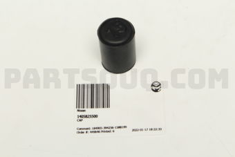 1405825500 Nissan CAP
