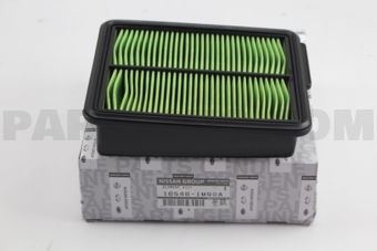 165461MG0A ELEMENT ASSY
