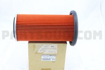 165465C900 ELEMENT ASSY