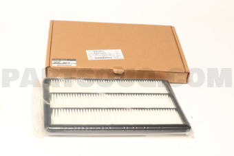 165465NA1D ELEMENT ASSY