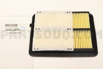 165465RA0A AIR CLEANER ELEMENT