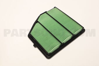 165466CA0A ELEMENT ASSY