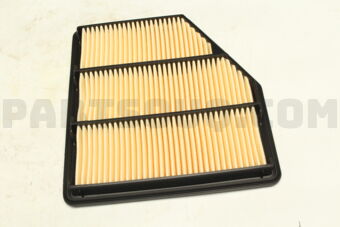 165466CA0B ELEMENT ASSY