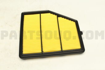 165466CA0B ELEMENT ASSY