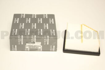 165466RA0A ELEMENT ASSY