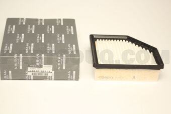165466RA0A ELEMENT ASSY
