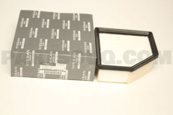 165466RA0A ELEMENT ASSY