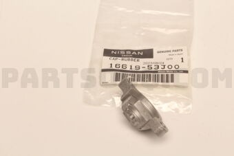 1661953J00 CAP-INJECTION NOZZLE