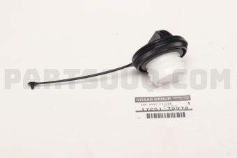 1725179972 CAP ASSY-FILLER