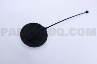1725179973 Nissan CAP ASSY-FILLER
