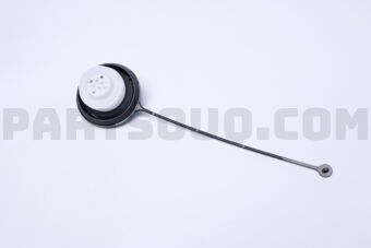 1725179973 Nissan CAP ASSY-FILLER