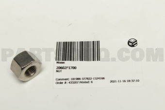 20602F1700 NUT