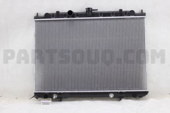 214609H300 RADIATOR ASSY
