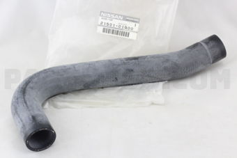 2150101G00 HOSE-RADIATOR,UPPER