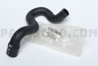 215031HD1B HOSE-RADIATOR,LOWER
