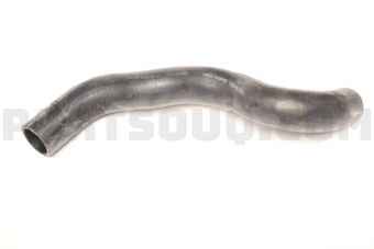 21503JD20A HOSE-RADIATOR,LOWER