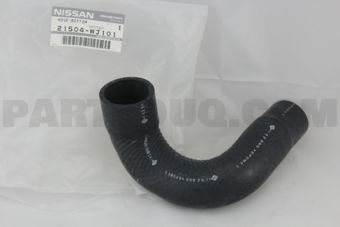 21504WJ101 HOSE-RADIATOR,LOWER