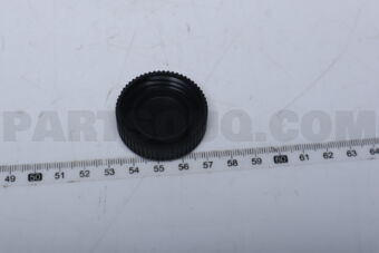 21712ZN50A CAP AND TETHER