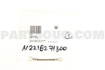 2218271300 WIRE ASSY-EARTH