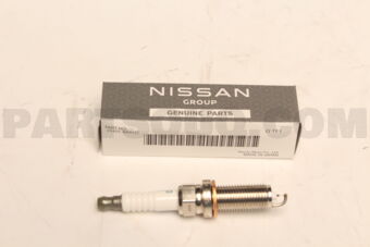 224016RA1C PLUG-SPARK