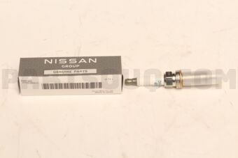 224016RA1C PLUG-SPARK
