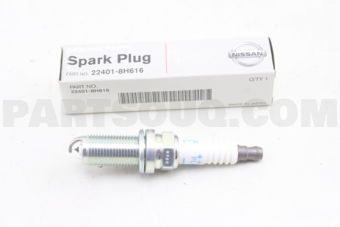 224018H616 PLUG-SPARK