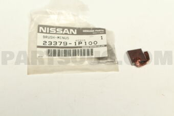 233791P100 BRUSH-MINUS