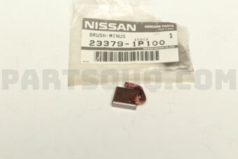 233791P100 BRUSH-MINUS