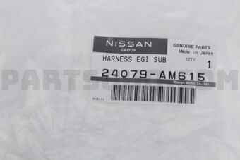 24079AM615 HARNESS EGI SUB