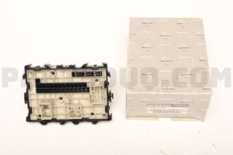 24311F9911 BLOCK FUSE