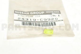 24319C9920 FUSE