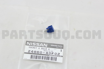 2486040F02 SOCKET & BULB ASSY
