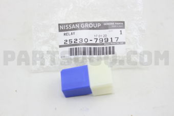 2523079917 RELAY