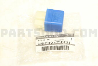 2523079981 RELAY