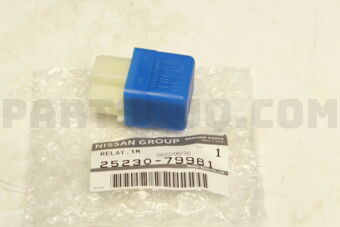 2523079981 RELAY