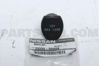 253395RA0A RING