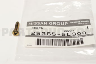 253655L300 SCREW