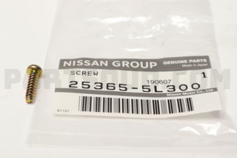 253655L300 SCREW